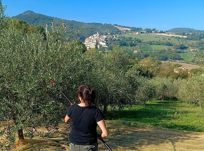 Degli Alessandri House * Sassoferrato