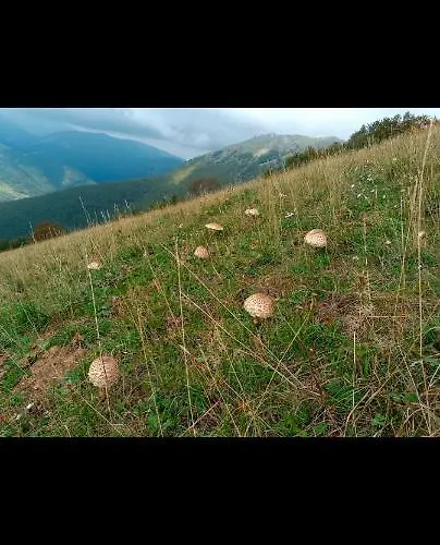 Degli Alessandri House Casa vacanze
