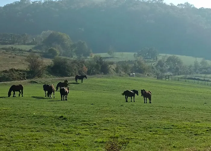 Degli Alessandri House Casa vacanze *